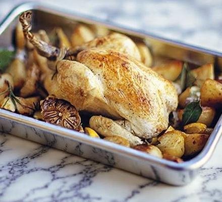 Eating Well on a Budget: Protein-First Approach That Won't Break the Bank